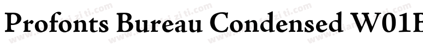 Profonts Bureau Condensed W01Bd字体转换